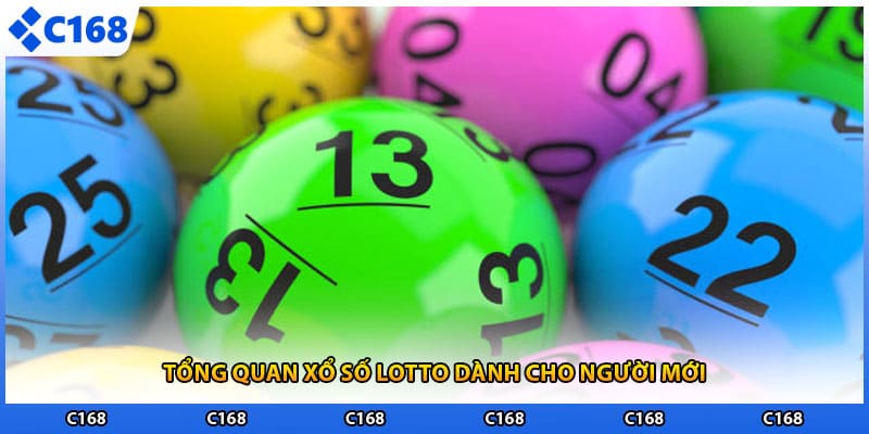 Tổng quan xổ số lotto dành cho người mới